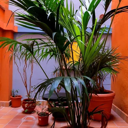 Hotell Carmen Rosas